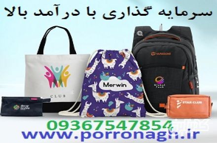 فرصت سرمایه گذاری در تولیدی پررونق با سود بالا - 1